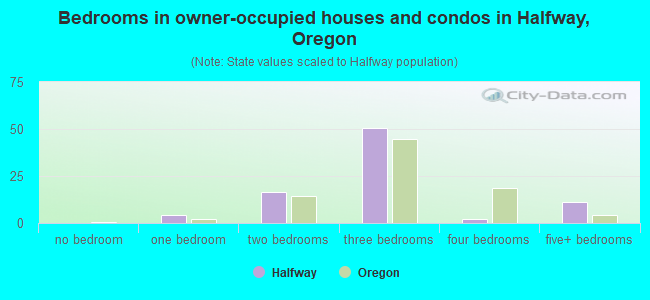 Bedrooms in owner-occupied houses and condos in Halfway, Oregon