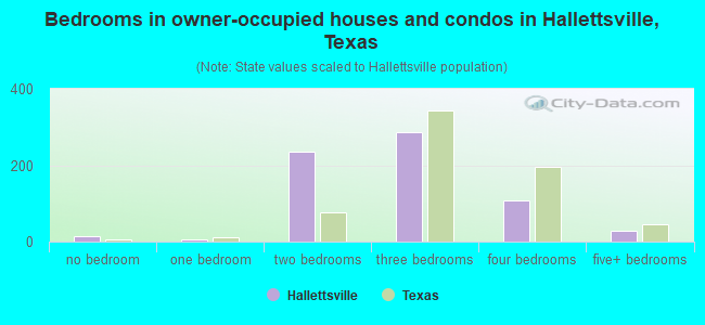 Bedrooms in owner-occupied houses and condos in Hallettsville, Texas
