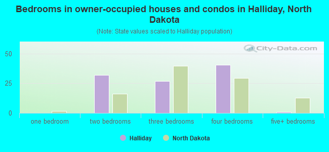 Bedrooms in owner-occupied houses and condos in Halliday, North Dakota