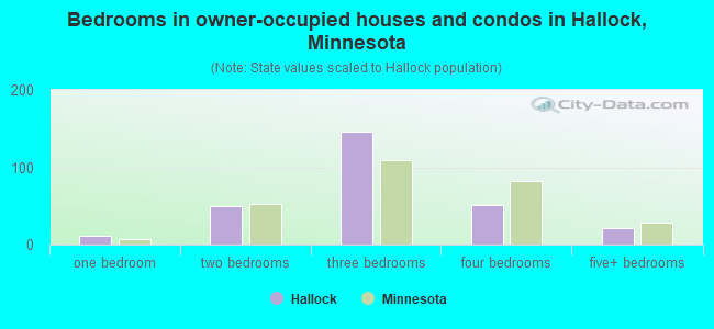 Bedrooms in owner-occupied houses and condos in Hallock, Minnesota