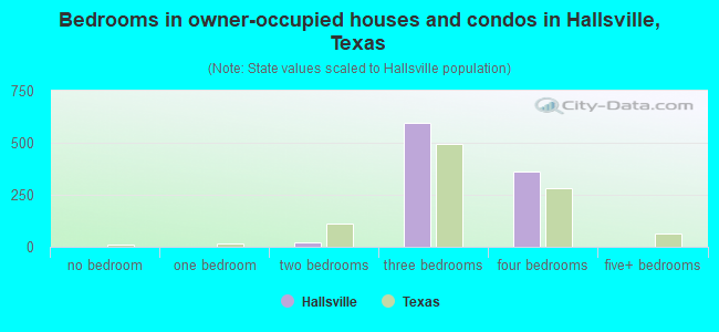 Bedrooms in owner-occupied houses and condos in Hallsville, Texas