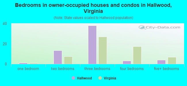 Bedrooms in owner-occupied houses and condos in Hallwood, Virginia