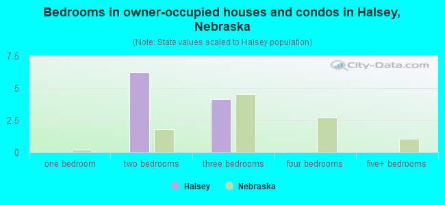 Bedrooms in owner-occupied houses and condos in Halsey, Nebraska