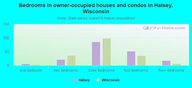 Bedrooms in owner-occupied houses and condos in Halsey, Wisconsin