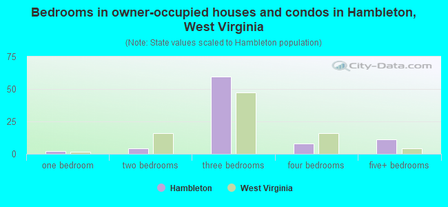 Bedrooms in owner-occupied houses and condos in Hambleton, West Virginia