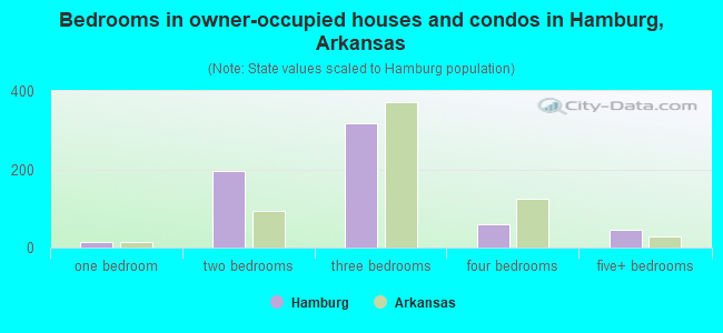 Bedrooms in owner-occupied houses and condos in Hamburg, Arkansas