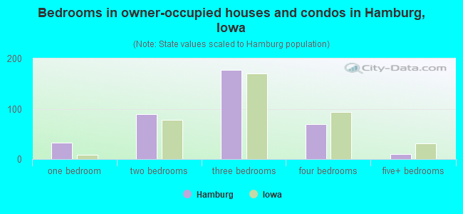 Bedrooms in owner-occupied houses and condos in Hamburg, Iowa