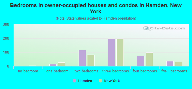 Bedrooms in owner-occupied houses and condos in Hamden, New York