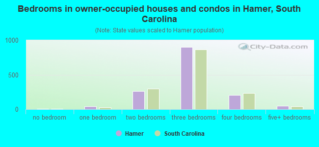 Bedrooms in owner-occupied houses and condos in Hamer, South Carolina