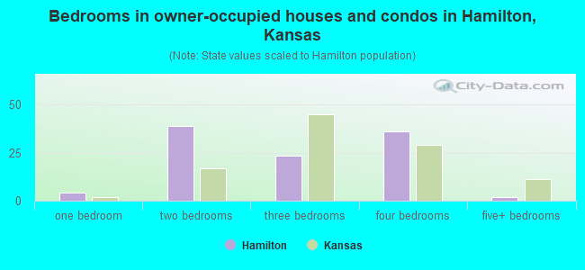 Bedrooms in owner-occupied houses and condos in Hamilton, Kansas