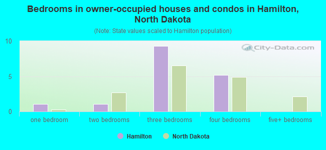 Bedrooms in owner-occupied houses and condos in Hamilton, North Dakota