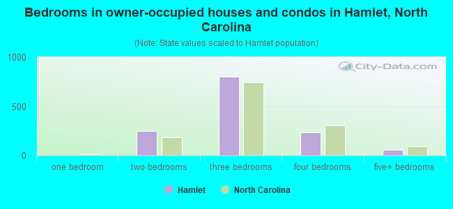 Bedrooms in owner-occupied houses and condos in Hamlet, North Carolina