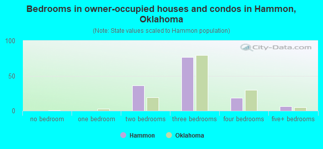 Bedrooms in owner-occupied houses and condos in Hammon, Oklahoma