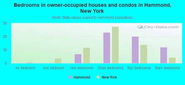 Bedrooms in owner-occupied houses and condos in Hammond, New York