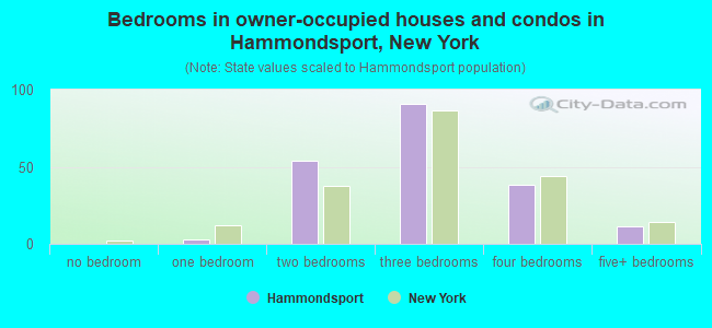 Bedrooms in owner-occupied houses and condos in Hammondsport, New York