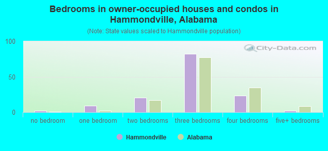 Bedrooms in owner-occupied houses and condos in Hammondville, Alabama