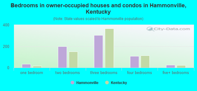 Bedrooms in owner-occupied houses and condos in Hammonville, Kentucky