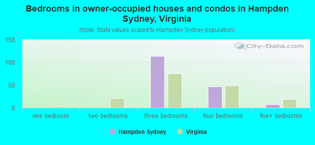Bedrooms in owner-occupied houses and condos in Hampden Sydney, Virginia