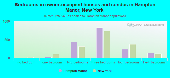 Bedrooms in owner-occupied houses and condos in Hampton Manor, New York