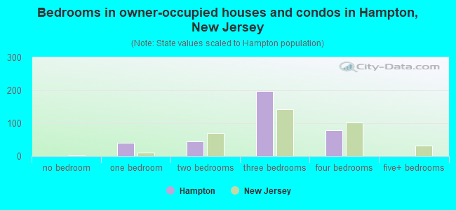 Bedrooms in owner-occupied houses and condos in Hampton, New Jersey
