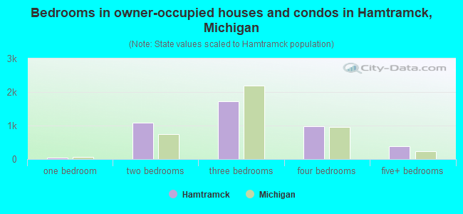 Bedrooms in owner-occupied houses and condos in Hamtramck, Michigan