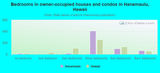 Bedrooms in owner-occupied houses and condos in Hanamaulu, Hawaii
