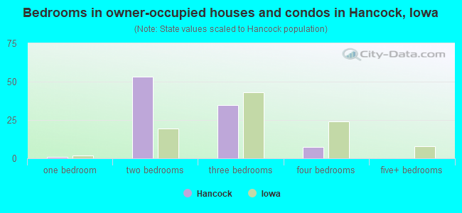 Bedrooms in owner-occupied houses and condos in Hancock, Iowa