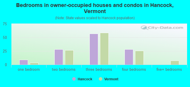 Bedrooms in owner-occupied houses and condos in Hancock, Vermont