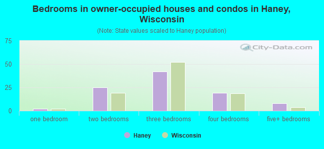 Bedrooms in owner-occupied houses and condos in Haney, Wisconsin