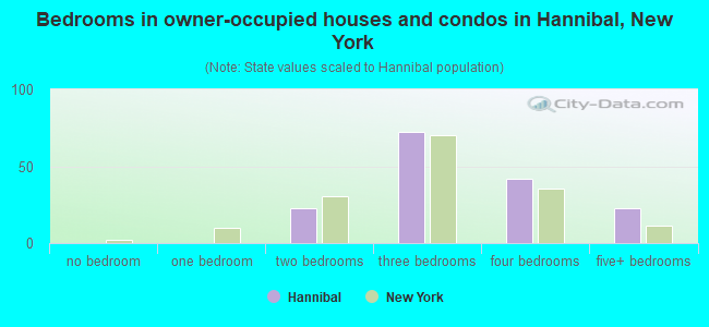 Bedrooms in owner-occupied houses and condos in Hannibal, New York