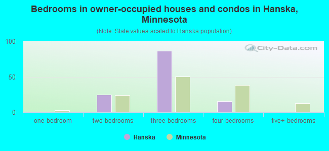 Bedrooms in owner-occupied houses and condos in Hanska, Minnesota
