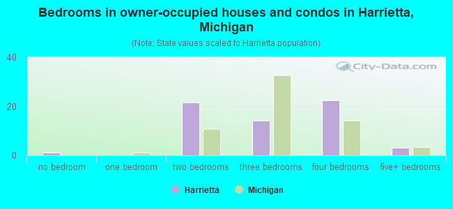 Bedrooms in owner-occupied houses and condos in Harrietta, Michigan