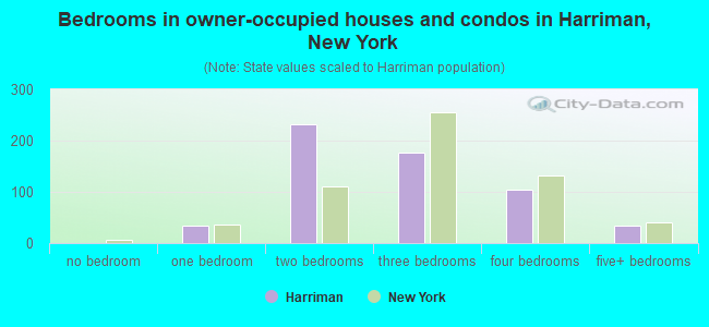 Bedrooms in owner-occupied houses and condos in Harriman, New York