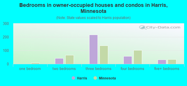 Bedrooms in owner-occupied houses and condos in Harris, Minnesota