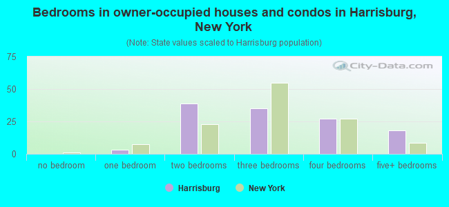 Bedrooms in owner-occupied houses and condos in Harrisburg, New York