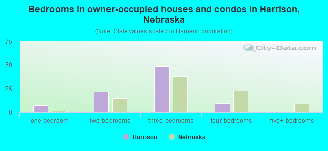 Bedrooms in owner-occupied houses and condos in Harrison, Nebraska