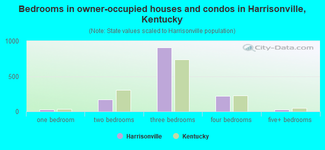 Bedrooms in owner-occupied houses and condos in Harrisonville, Kentucky