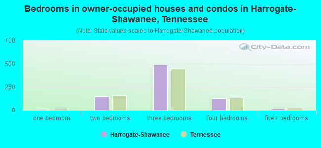 Bedrooms in owner-occupied houses and condos in Harrogate-Shawanee, Tennessee
