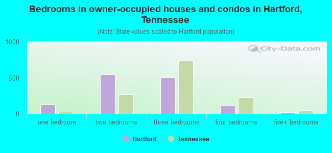 Bedrooms in owner-occupied houses and condos in Hartford, Tennessee