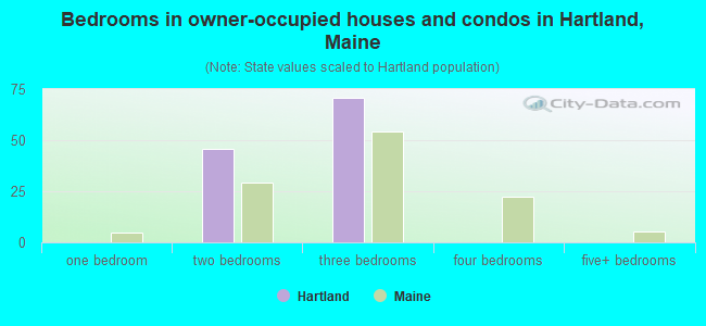 Bedrooms in owner-occupied houses and condos in Hartland, Maine