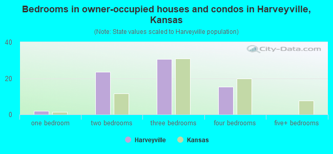 Bedrooms in owner-occupied houses and condos in Harveyville, Kansas