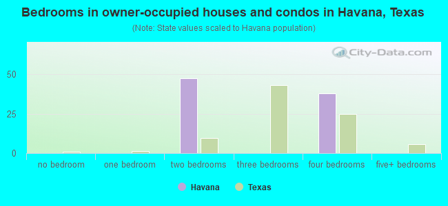 Bedrooms in owner-occupied houses and condos in Havana, Texas