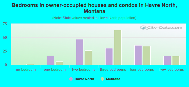 Bedrooms in owner-occupied houses and condos in Havre North, Montana