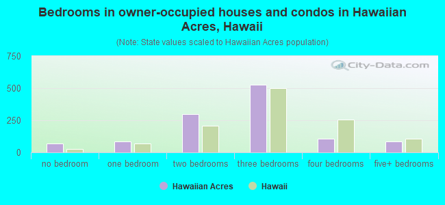 Bedrooms in owner-occupied houses and condos in Hawaiian Acres, Hawaii