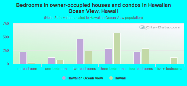 Bedrooms in owner-occupied houses and condos in Hawaiian Ocean View, Hawaii