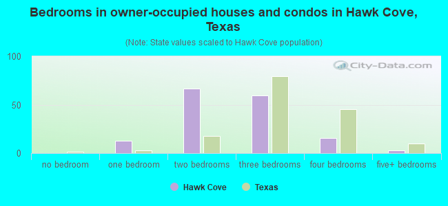 Bedrooms in owner-occupied houses and condos in Hawk Cove, Texas