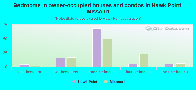 Bedrooms in owner-occupied houses and condos in Hawk Point, Missouri