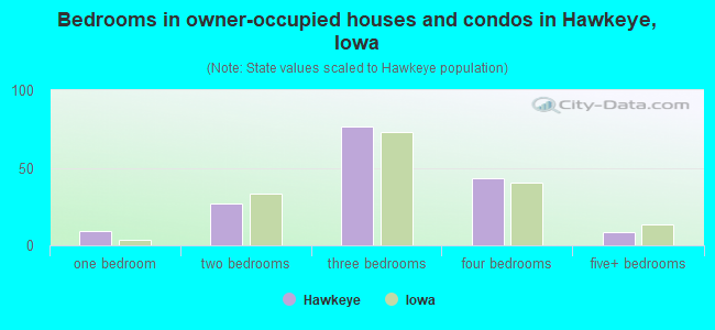Bedrooms in owner-occupied houses and condos in Hawkeye, Iowa