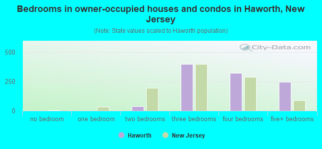 Bedrooms in owner-occupied houses and condos in Haworth, New Jersey
