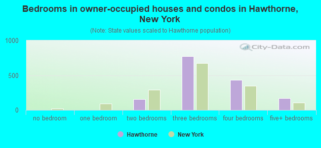 Bedrooms in owner-occupied houses and condos in Hawthorne, New York